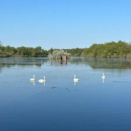 De L'etang Vieux