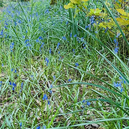 بيت للعطل De L'etang Vieux