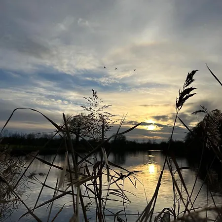 بيت للعطل De L'etang Vieux *