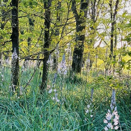 De L'etang Vieux * Etusson